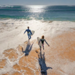 Coraline Beach Residences at Sobha Siniya Island