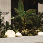 Arisha terraces by Qube Developer