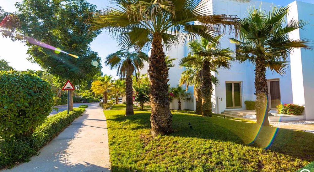 Al Barari Dubai Area Guide