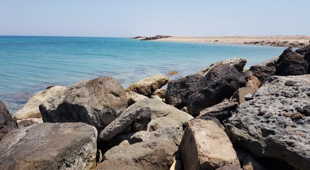 Dalma Island Abu Dhabi: A Complete Guide