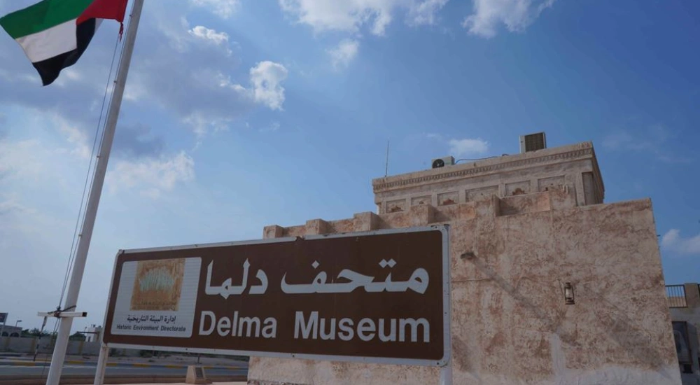 Dalma Island Abu Dhabi: A Complete Guide