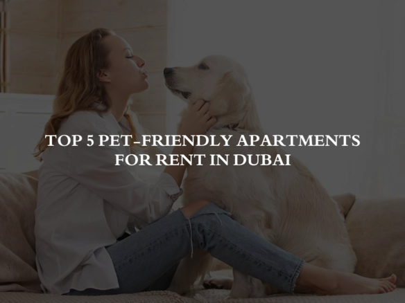 Top 5 Pet-Friendly Apartments for Rent in Dubai