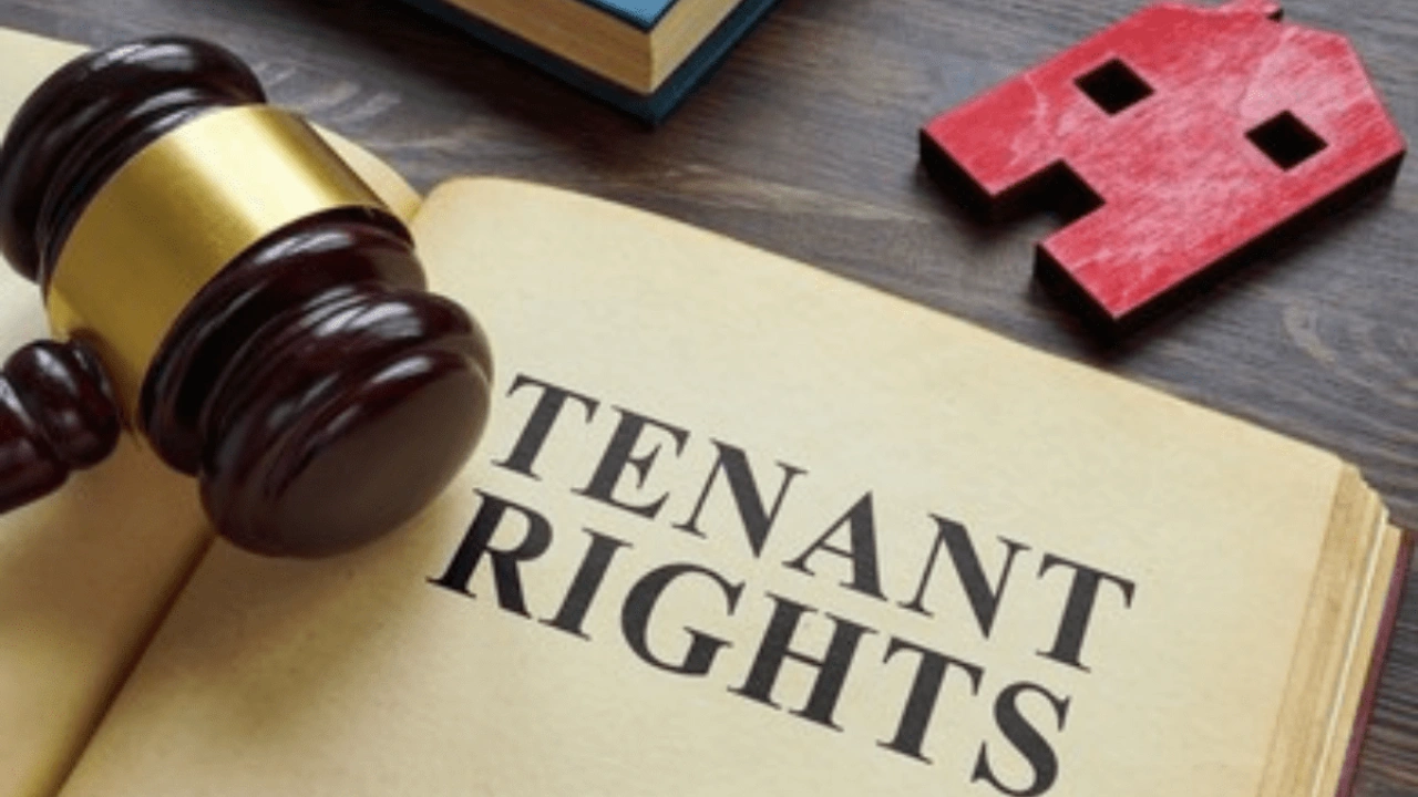 What is the DLD Smart rental index