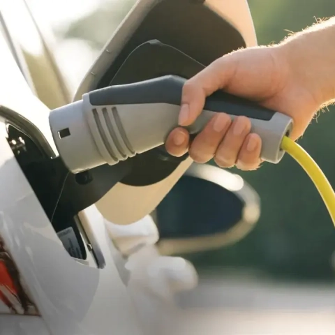 Belle Reve By Zimaya