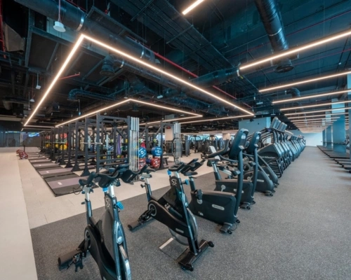 Wellfit Wellfit
